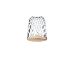 FOLIA H120 CLEAR WOOD PHOTOPHORE