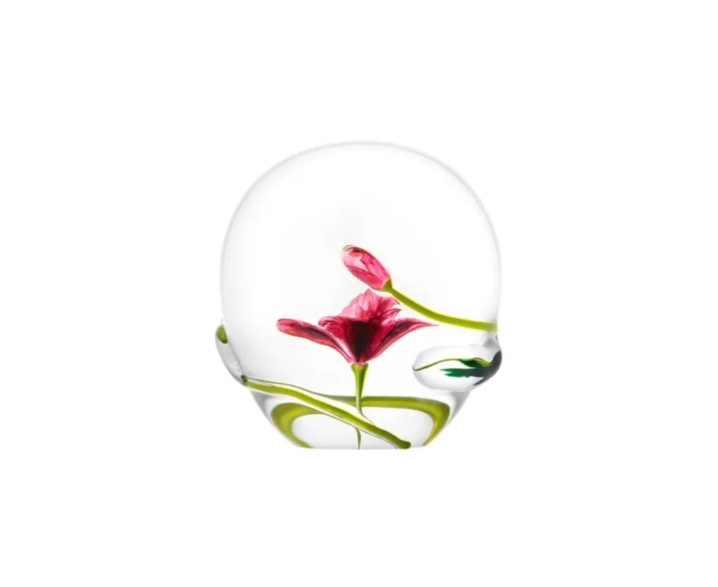 P.P. "COQUELICOT" 2024
