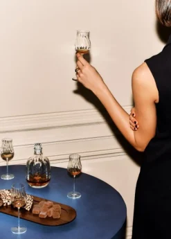 Set of 2 Mature Spirits Glasses: Savor excellence with these refined glasses.